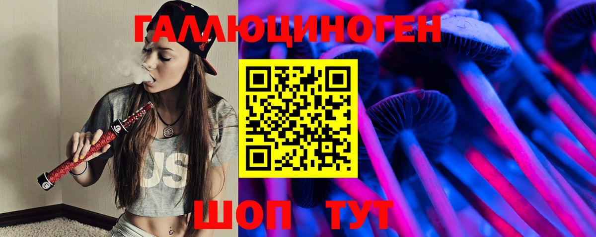 Галлюциногенные грибы Psilocybe  Вход с VPN  Верхний Уфалей 