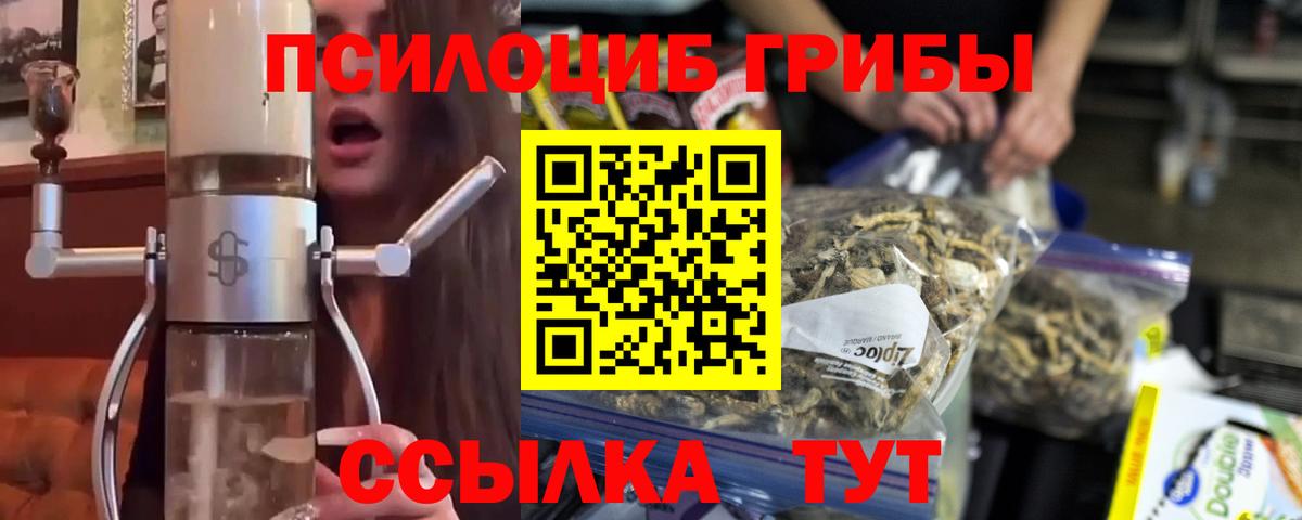 Галлюциногенные грибы Psilocybe Верхний Уфалей